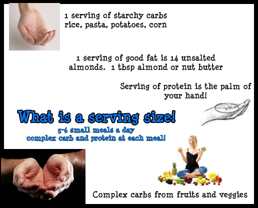 Body Beast Eating Plan Pdf